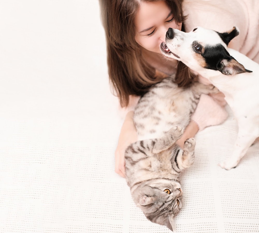 a woman playing with her cat and dog