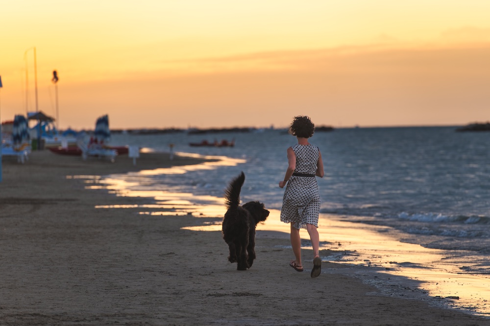 a woman and a dog walking on the beach